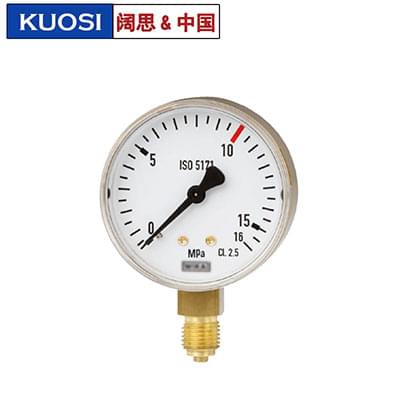 波登管壓力表 111.11焊接用表